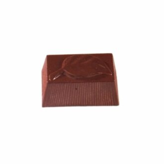 Stampo Rettangolo Con Foglia – Cabrellon