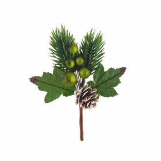 Pick Pigne E Bacche Verdi – Scotton