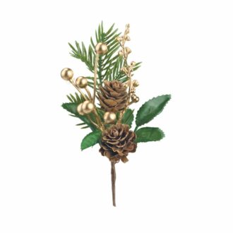 Pick Pigna, Pino E Bacche Oro – Scotton