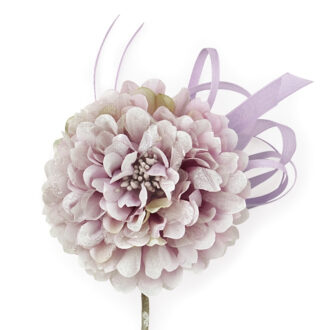 Pick Dalia – Scotton