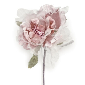 Pick Peonia – Scotton