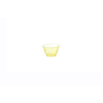 Coppetta Gelato 100 cc – Florida Coppetta Gelato 100 cc – Florida