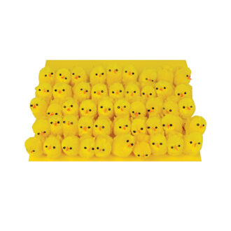 Pulcini Gialli Piccoli – Ginmar