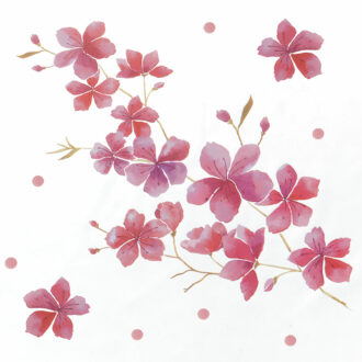 Fogli PPL Trasparenti Decorati Fiori Di Pesco – PNP Plast