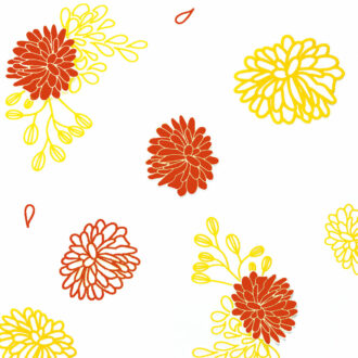 Fogli PPL Trasparenti Decorati Fiore – PNP Plast