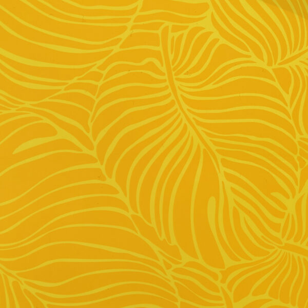 0858667.jpg