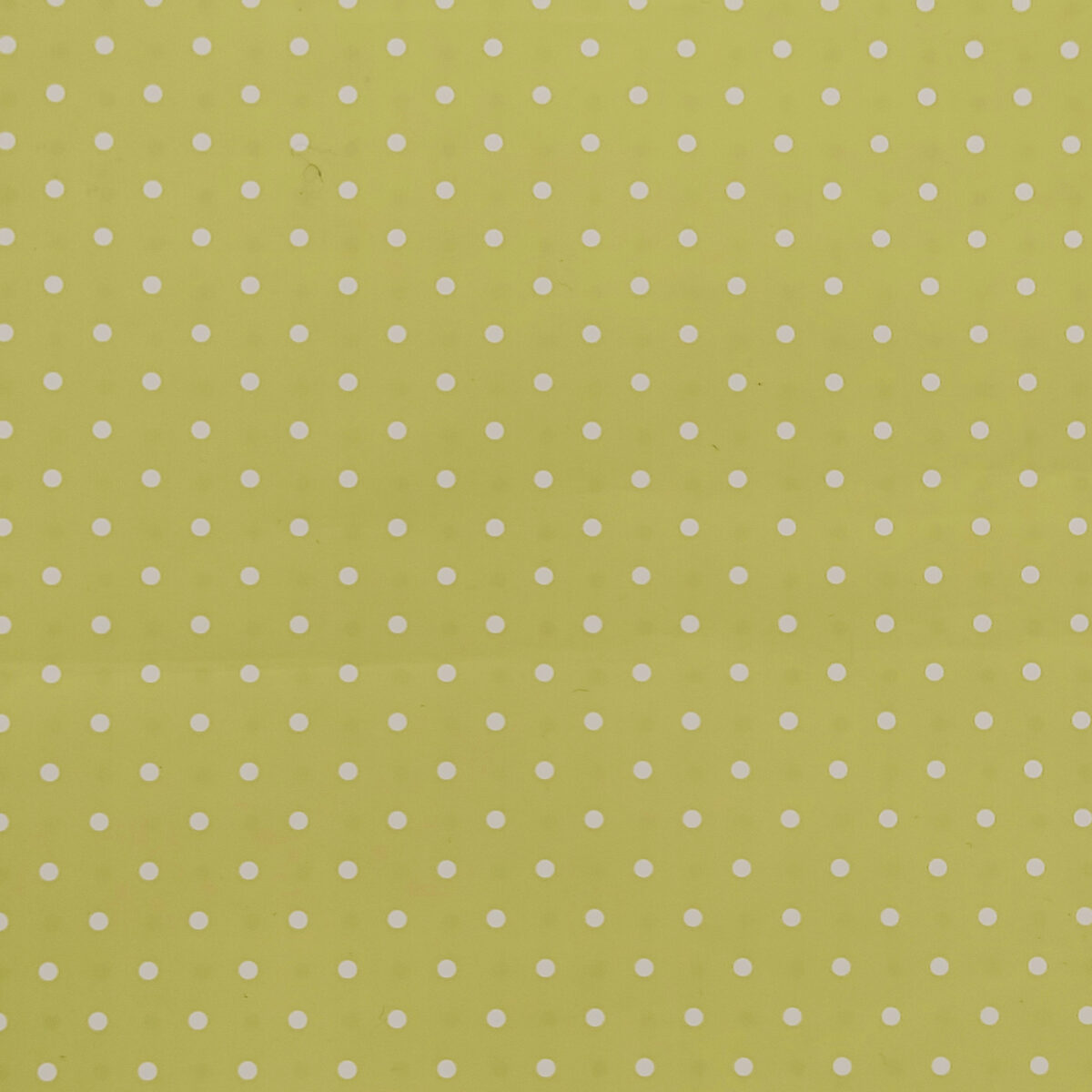 0858687.jpg