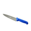 Coltello Trinciante Con Manico Blu In Nylon – Svanera