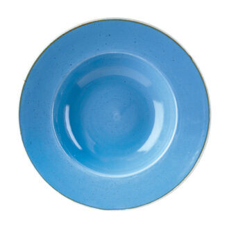 Piatto Fondo Stonecast Cornflower Blue – Churchill