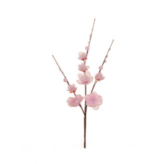 Pick Ramo Pesco – Evergreens