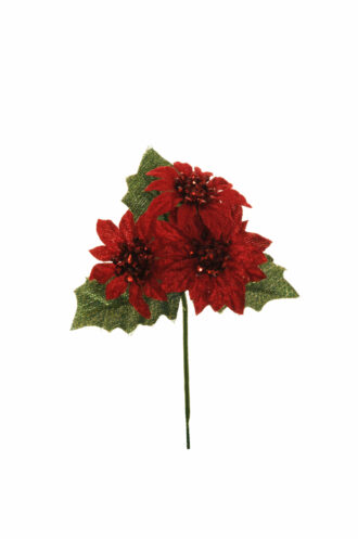 Pick Poinsette Pick Poinsette