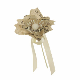 Pick Primula Con Tocco Vintage – Evergreens