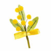Pick Ramo Mimosa Con Fiocco – Evergreens
