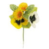 Pick Pansy Daisy