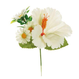 Pick Hibiscus Daisy – Evergreens