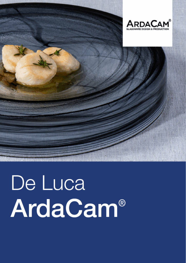 Copertina Catalogo Ardacam Cod. 212
