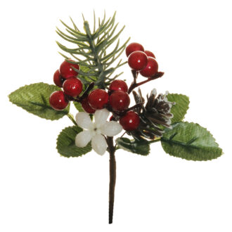 Pick Bacche E Stella Alpina – Evergreens