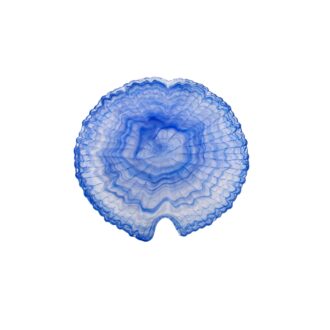 Piatto Tropicana Vetro Alabastro Azzurro Varie Dimensioni – ArdaCam