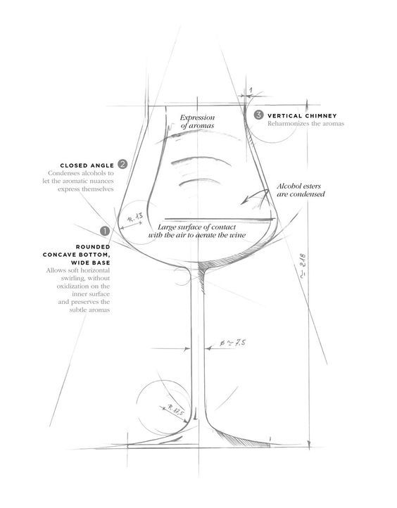 calice da vino professionale