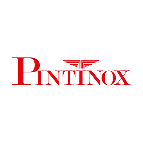 Logo Pintinox 600x400