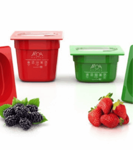 Contenitori professionali per stoccaggio alimenti