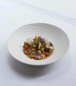 Porcellana linea Arborescence professionale