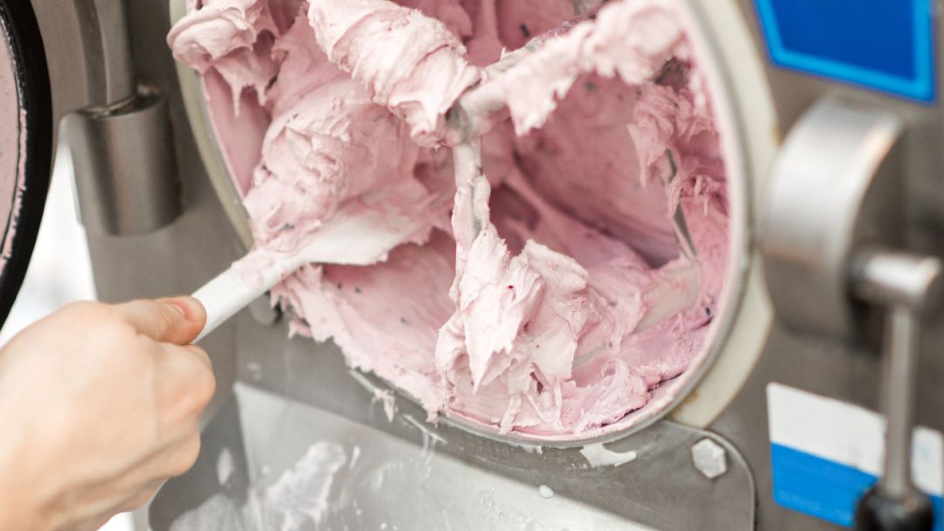Gelateria 2025 de luca
